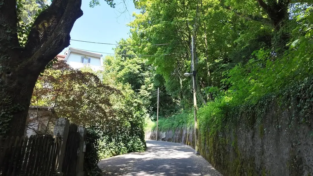 摄影作品